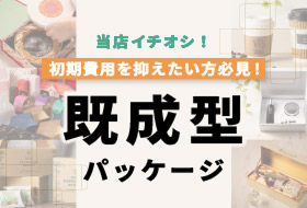 既成型パッケージ